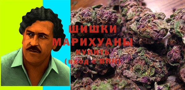 метадон Каменногорск
