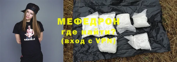 гидра Каменка