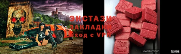гидра Каменка