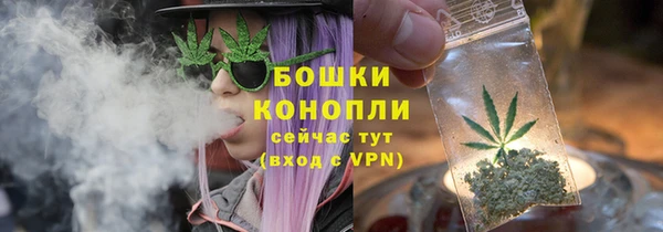 метадон Каменногорск