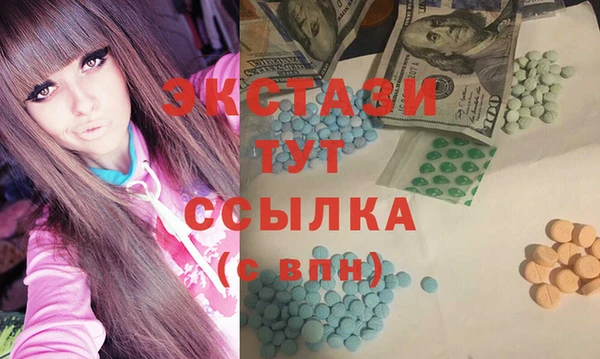 гидра Каменка