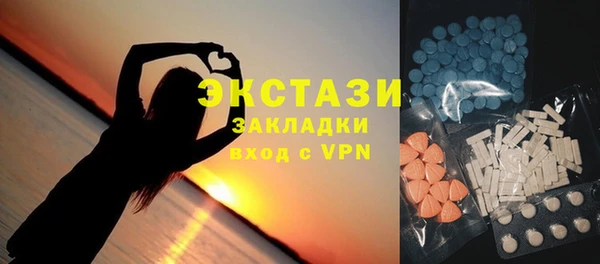 гидра Каменка