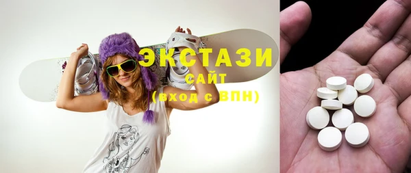 гидра Каменка