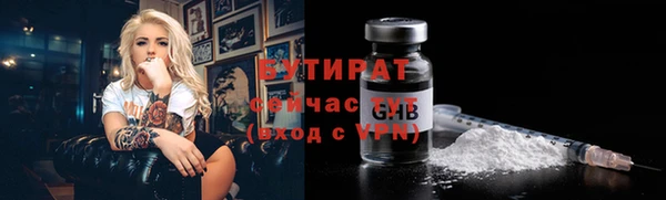 гидра Каменка