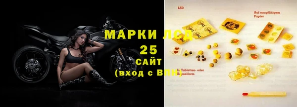 гидра Каменка