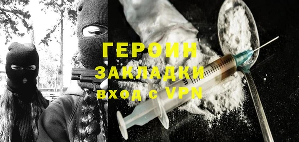 гидра Каменка