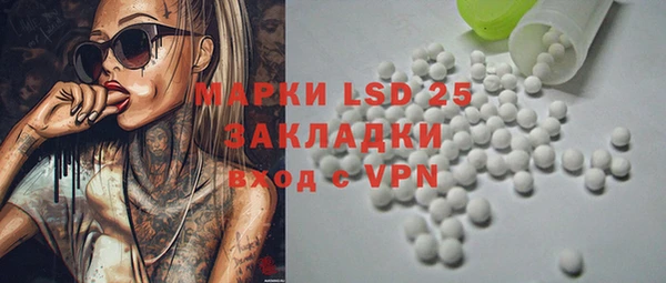 гидра Каменка