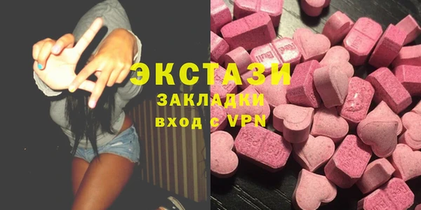 гидра Каменка