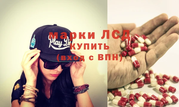 гидра Каменка