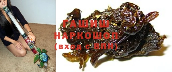 гидра Каменка