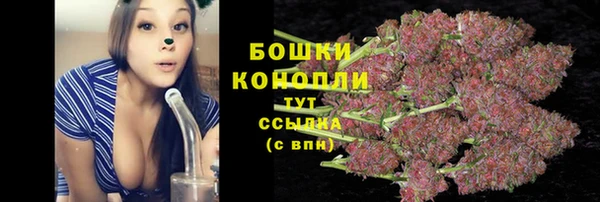 метадон Каменногорск