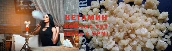 гидра Каменка