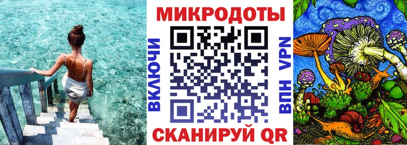 Псилоцибиновые грибы мицелий  Кингисепп 
